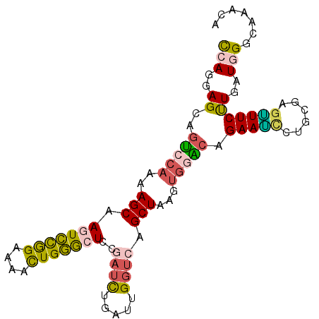 secondary structure