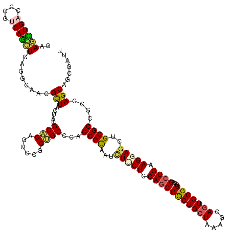 secondary structure