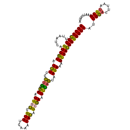 secondary structure