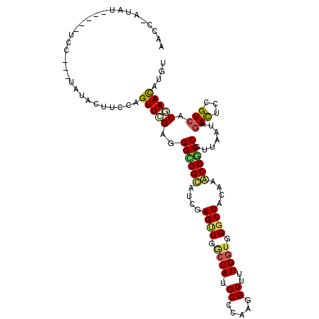 secondary structure