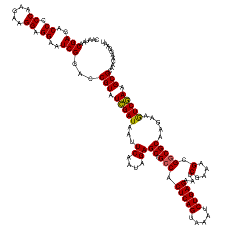 secondary structure
