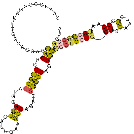 secondary structure