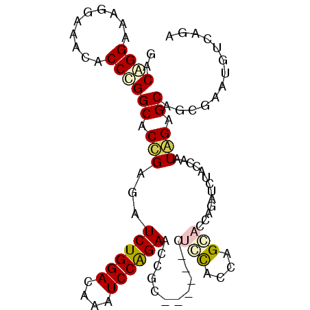 secondary structure