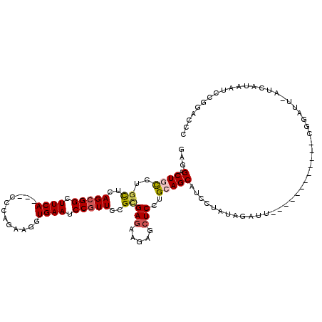 secondary structure