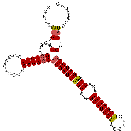secondary structure