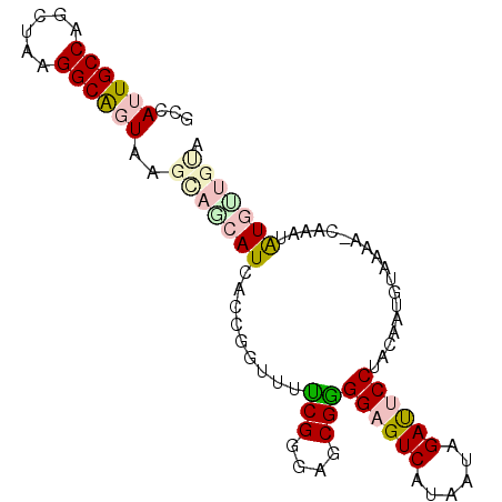 secondary structure