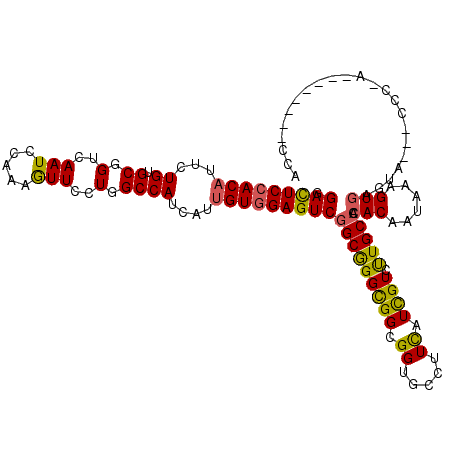 secondary structure