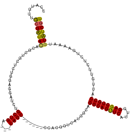 secondary structure