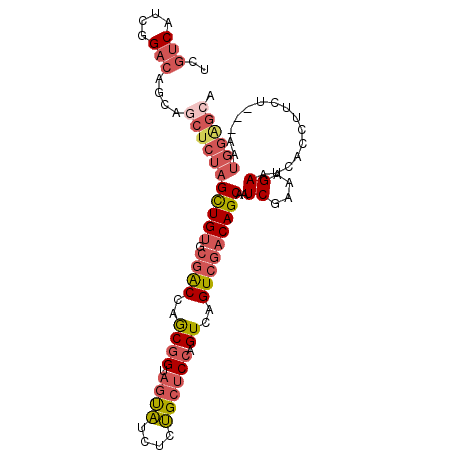 secondary structure