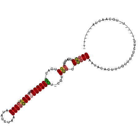 secondary structure