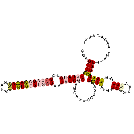 secondary structure