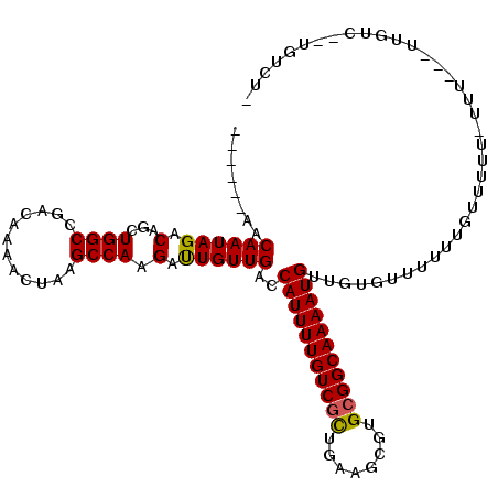 secondary structure