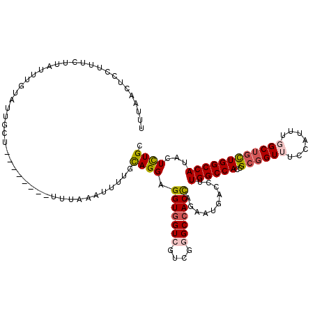 secondary structure