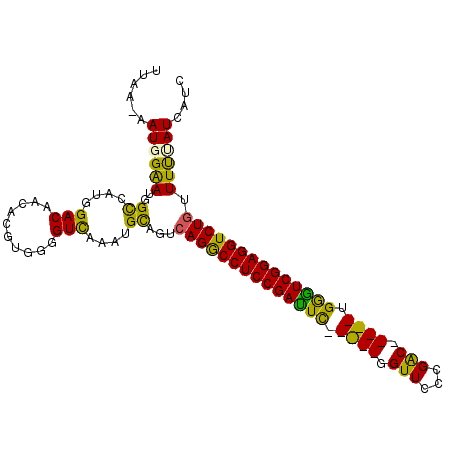 secondary structure