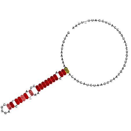secondary structure