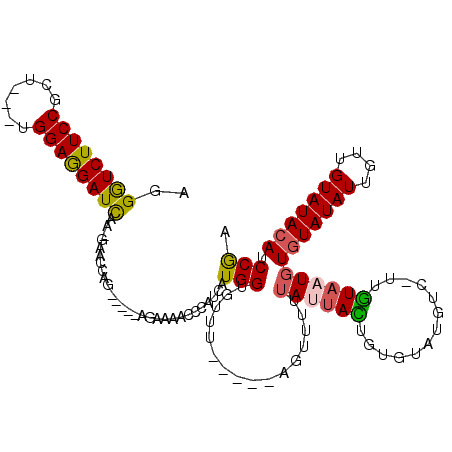 secondary structure