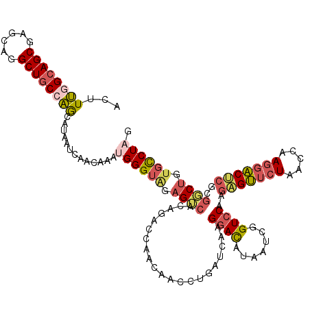 secondary structure