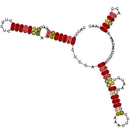 secondary structure