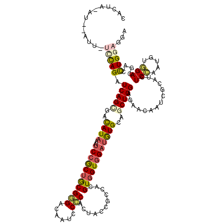 secondary structure