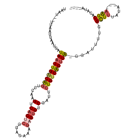 secondary structure