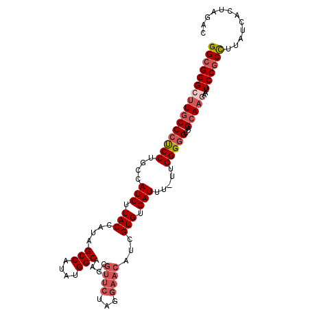 secondary structure