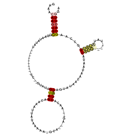 secondary structure