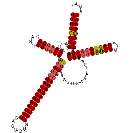 secondary structure
