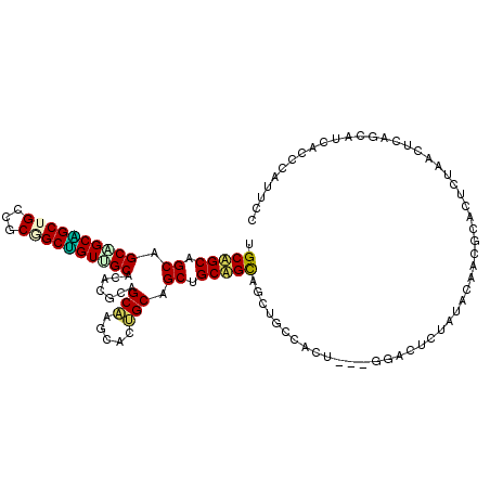 secondary structure