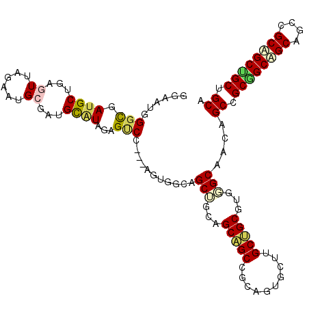 secondary structure