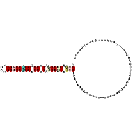 secondary structure