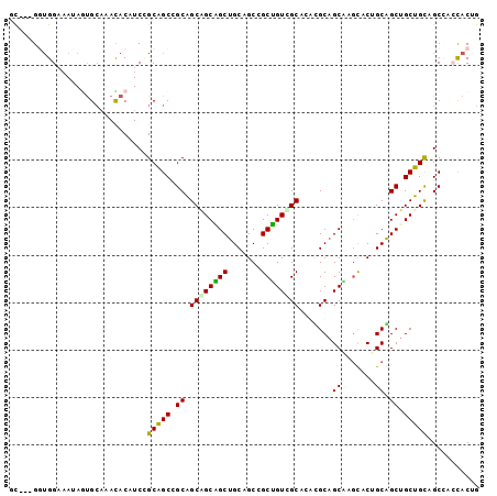dotplot
