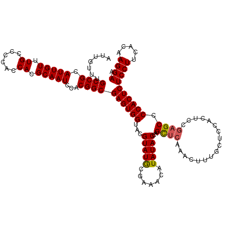 secondary structure