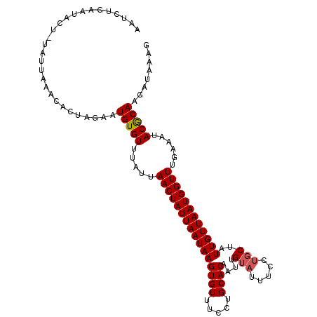 secondary structure