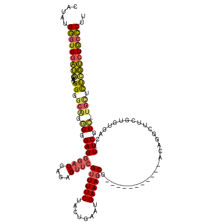 secondary structure