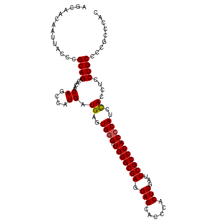 secondary structure