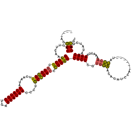 secondary structure