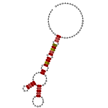 secondary structure