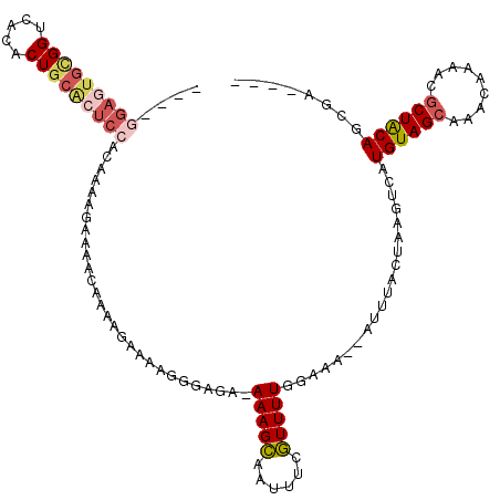 secondary structure
