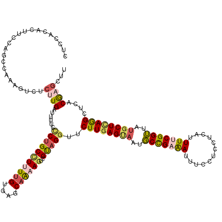 secondary structure