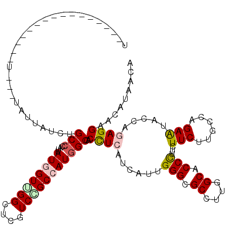 secondary structure