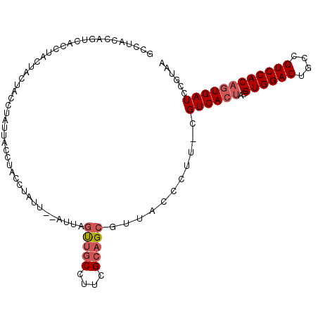 secondary structure