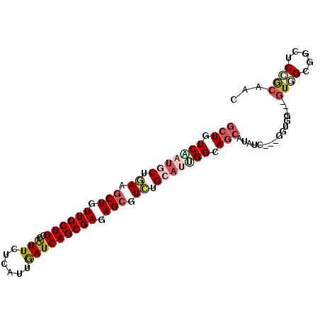 secondary structure