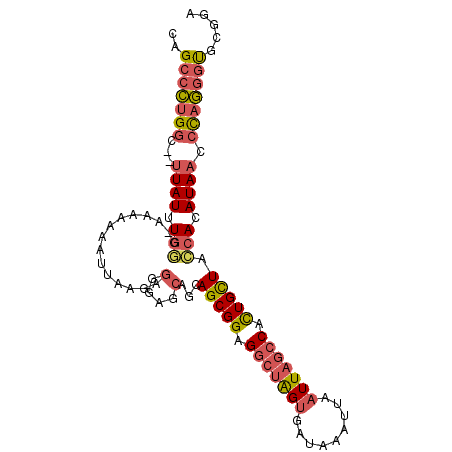 secondary structure