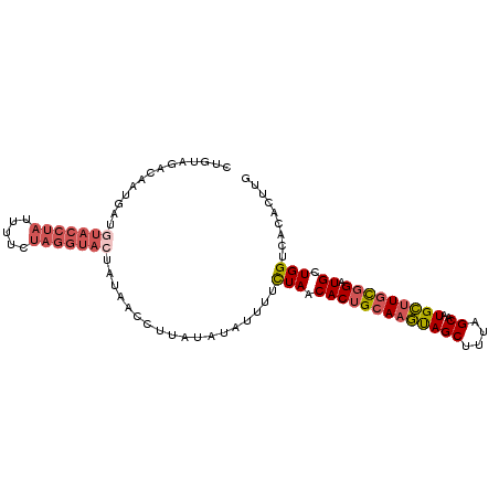secondary structure