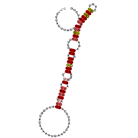 secondary structure