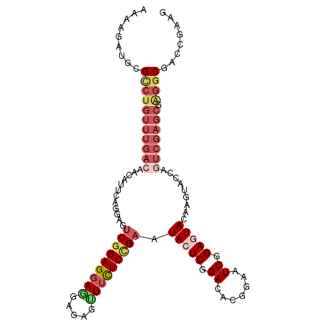 secondary structure