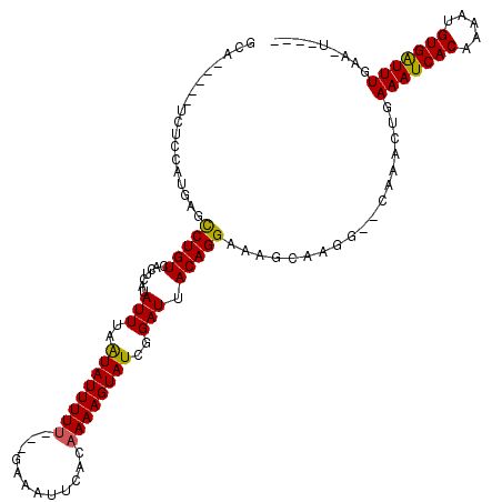secondary structure