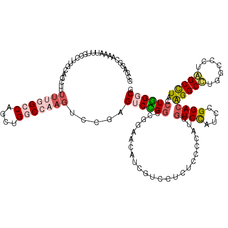 secondary structure