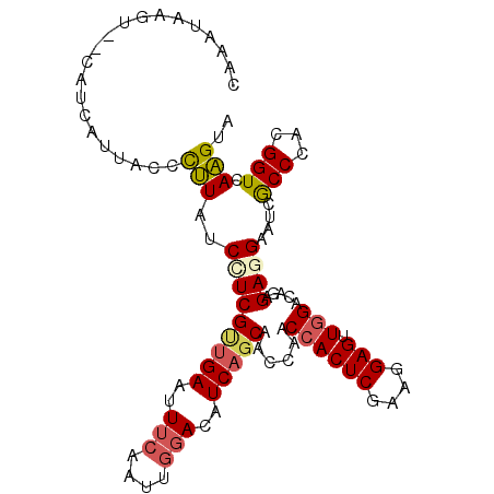 secondary structure
