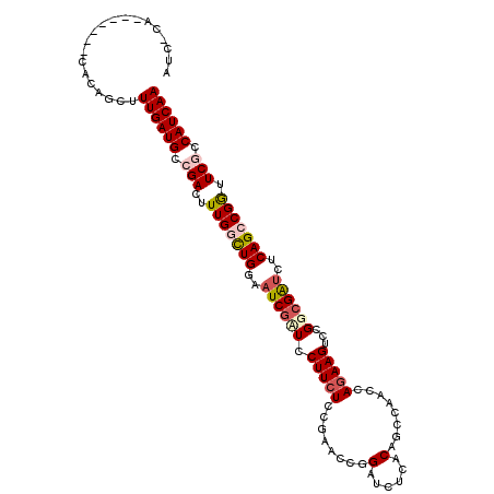 secondary structure